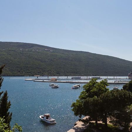 Riva Residence Ðenovići Bagian luar foto