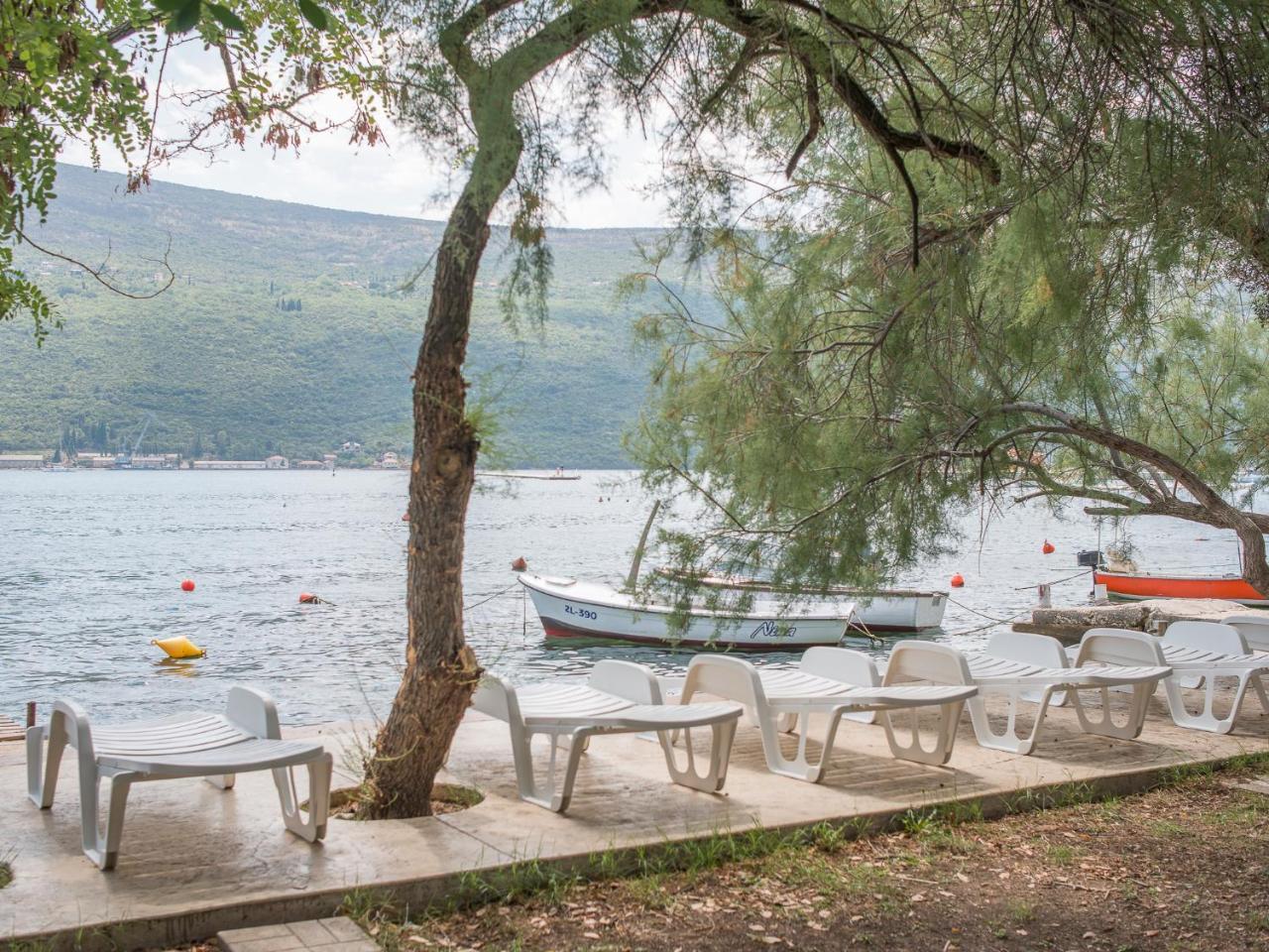 Riva Residence Ðenovići Bagian luar foto