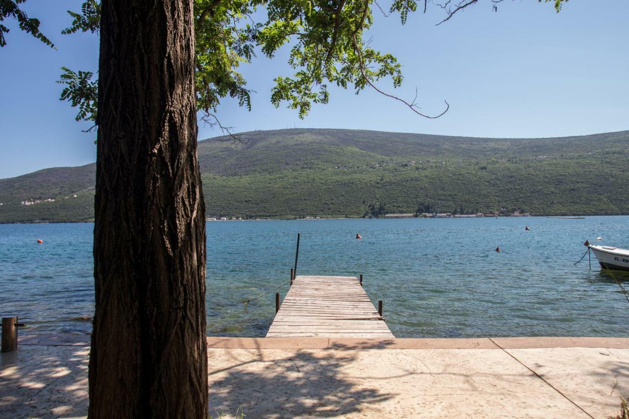 Riva Residence Ðenovići Bagian luar foto